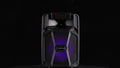 1100W Portable Bluetooth Speaker with LED Lights, Wired Microphone, 1200mAh Battery, Black - Ideal for Parties, Holidays & Gifts