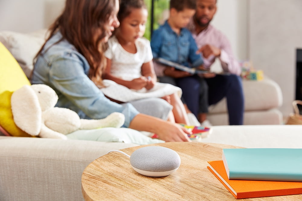 Google Home Mini (Gen. 1)