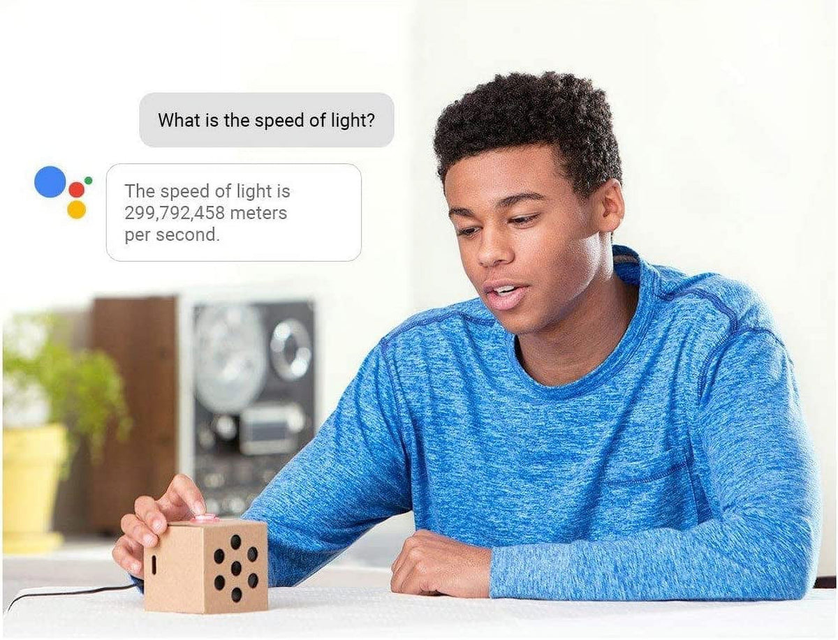 Google AIY Voice Kit (V1) - DIY kit