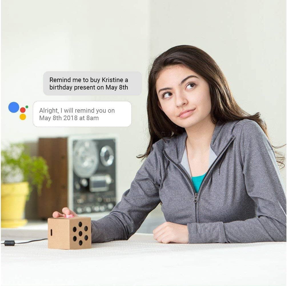 Google AIY Voice Kit (V1) - DIY kit