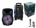 Mr DJ 2-Way Powered Portable Speaker with Microphone, Multicolor, DJ15BTA